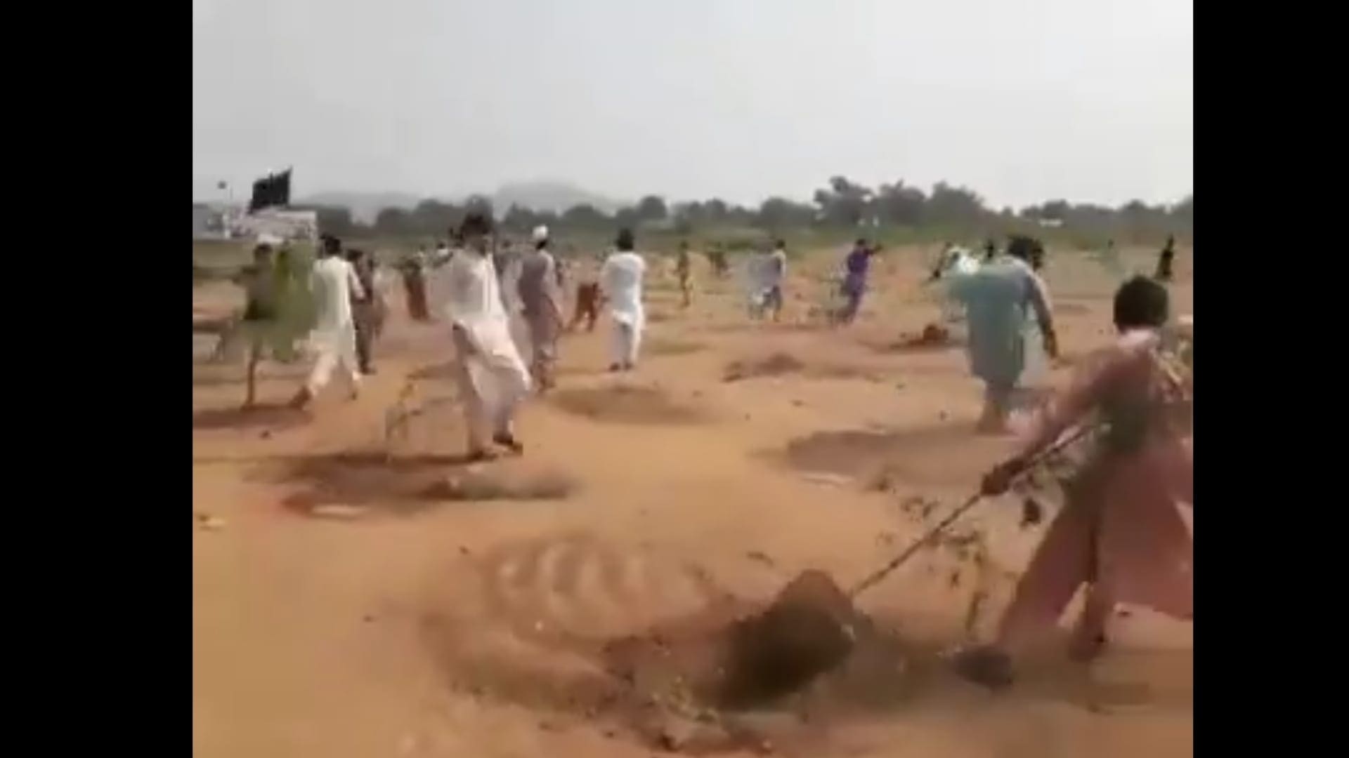 سكان باكستان لم يقتلعوا الأشجار بسبب فتوى إسلامية